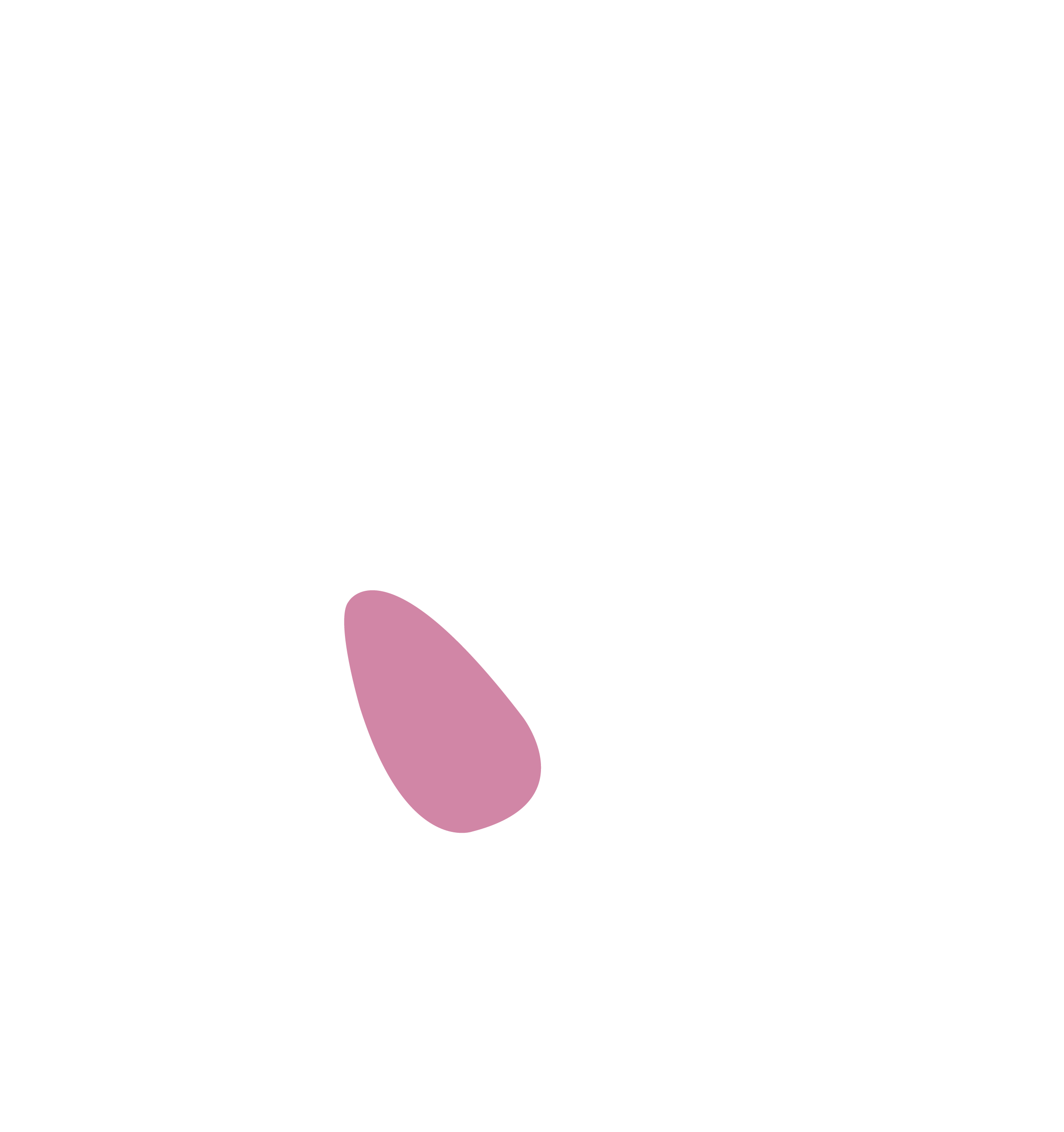 alas de colibrí