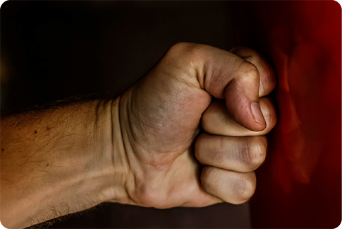 Tratamiento de problemas de agresividad en Ipace