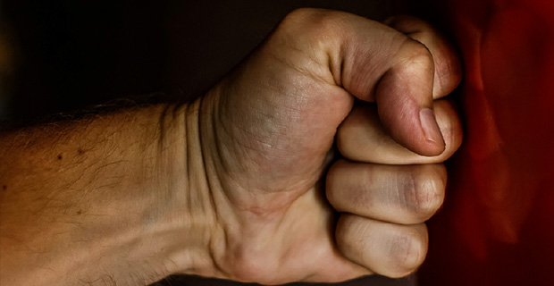 Tratatamiento de problemas de agresividad en Ipace